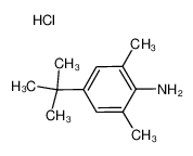 4-tert-butyl-2,6-dimethylaniline,hydrochloride 859784-19-3