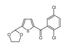 (2,5-dichlorophenyl)-[5-(1,3-dioxolan-2-yl)thiophen-2-yl]methanone 898778-90-0