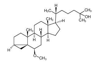 53139-49-4 6β-methoxy-3α,5-cyclocholestan-25-ol