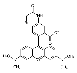 N-[3',6'-bis(dimethylamino)-3-oxospiro[2-benzofuran-1,9'-xanthene]-5-yl]-2-bromoacetamide 166442-38-2