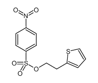 2-(2-thiophenylethyl) 4-nitro-benzene sulfonate 191339-42-1