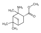 methyl (1S,3R,4S,5S)-4-amino-4,6,6-trimethylbicyclo[3.1.1]heptane-3-carboxylate 705949-09-3