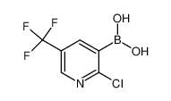 2-氯-5-三氟甲基吡啶-3-硼酸