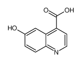 6-羟基-4-喹啉羧酸