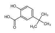 2-羟基-5-叔丁基苯甲酸