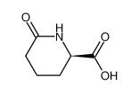 D-6-氧代哌啶-2-甲酸
