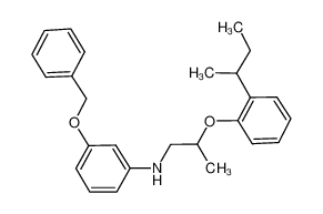 3-(Benzyloxy)-N-{2-[2-(sec-butyl)phenoxy]-propyl}aniline 1040688-93-4