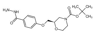 1093988-39-6 structure