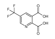 1202634-08-9 5-trifluoromethyl-2,3-pyridinedicarboxylic acid