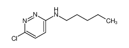 6-chloro-N-pentylpyridazin-3-amine 941294-42-4