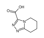 5,6,7,8-tetrahydro-[1,2,4]triazolo[4,3-a]pyridine-3-carboxylic acid