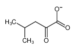 10250-86-9 spectrum, 4-methyl-2-oxopentanoate