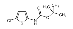 (5-氯-2-噻吩)氨基甲酸叔丁酯