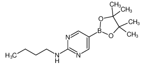 2-Butylaminopyrimidine-5-boronic acid, pinacol ester 1218791-48-0