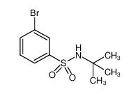 N-叔丁基-3-溴苯磺酰胺