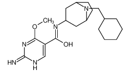 2-氨基-N-(8-(环己基甲基)-3-beta-去甲莨菪烷基)-4-甲氧基-5-嘧啶甲酰胺