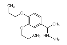 1-(3,4-dipropoxyphenyl)ethylhydrazine 1016765-03-9