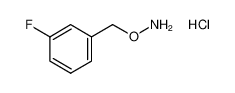 1-[(Aminooxy)methyl]-3-fluorobenzene hydrochloride 51572-90-8