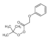 tert-butyl 2-phenoxyethaneperoxoate 5789-77-5