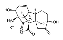 potassium gibberellate 125-67-7