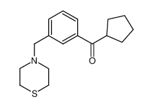 cyclopentyl-[3-(thiomorpholin-4-ylmethyl)phenyl]methanone 898788-11-9