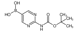883231-25-2 spectrum, [2-[(2-methylpropan-2-yl)oxycarbonylamino]pyrimidin-5-yl]boronic acid