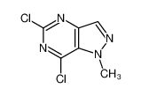 939979-32-5 5,7-二氯-1-甲基-吡唑并[4,3-d]嘧啶