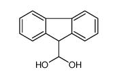 111916-36-0 9H-fluoren-9-ylmethanediol