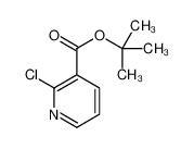 232951-83-6 2-氯烟酸叔丁酯