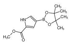 1198605-53-6 structure, C12H18BNO4