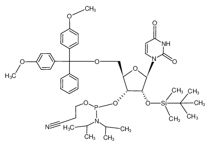 5'–O–(4,4'–dimethoxytrityl)–2'–O–tertbutyl(dimethylsilyl)uracil–3'–O–[O–(2–cyanoethyl)–N,N–(diisopropyl)]phosphoramidite