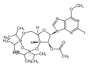 157762-21-5 spectrum, 2-iodo-6-methoxy-9-(2-O-acetyl-3,5-O-(tetraisopropyldisiloxane-1,3-diyl)-β-D-arabinofuranosyl)purine