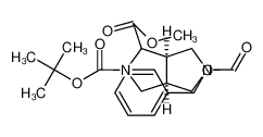 1263174-51-1 structure, C21H28N2O6