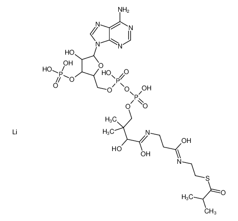 Isobutyryl coenzyme A lithium salt 103404-95-1