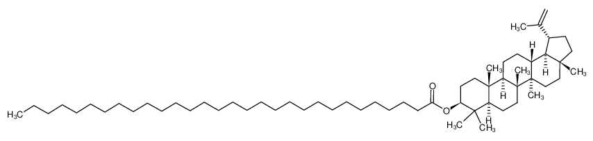 137231-83-5 lup-20(29)-en-3β-yl triacontanoate