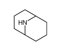 9-azabicyclo[3.3.1]nonane 280-97-7