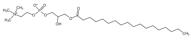 17364-19-1 structure