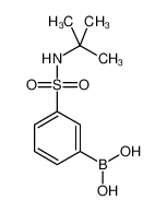 3-硼苯磺酰胺叔丁酯