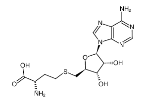 S-adenosyl-L-homocysteine 979-92-0