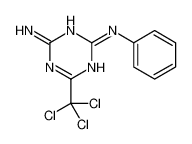 2-N-phenyl-6-(trichloromethyl)-1,3,5-triazine-2,4-diamine 30355-69-2