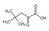 4,4-dimethyl-2-oxopentanoic acid 34906-87-1