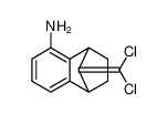 1,4-Methanonaphthalen-5-amine, 9-(dichloromethylene)-1,2,3,4-tetrahydro- 935772-63-7