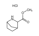 Methyl 2-azabicyclo[2.2.1]heptane-3-carboxylate hydrochloride 88259-98-7