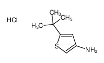 5-tert-butylthiophen-3-amine,hydrochloride