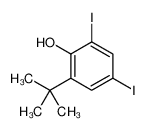 2-tert-butyl-4,6-diiodophenol 60803-26-1