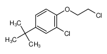 4-TERT-BUTYL-2-CHLORO-1-(2-CHLOROETHOXY)BENZENE 2051-63-0