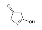 2,4-吡咯烷二酮