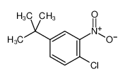 1-tert-Butyl-3-nitro-4-chlorobenzene 58574-05-3