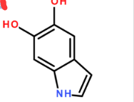 5,6-二羟基吲哚