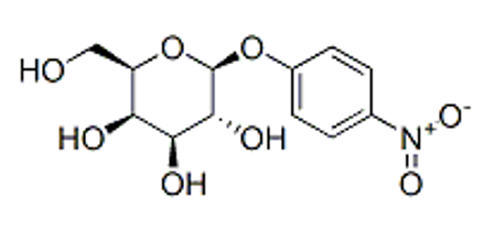 4-Nitrophenyl-β-D-galactopyranoside （PNPG） 98%